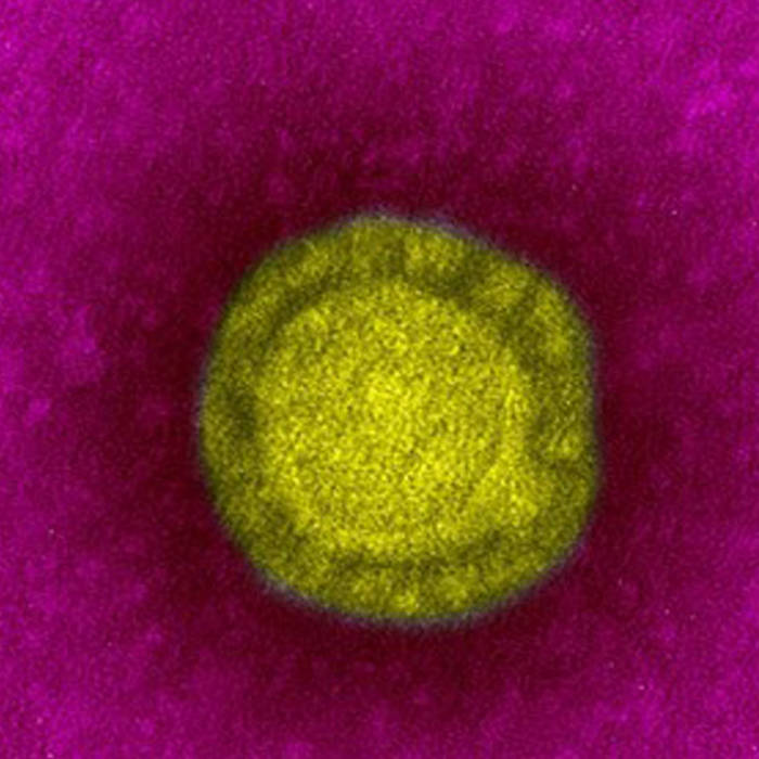Another Timbre presents : Coronavirus quarantine 5​-​hour playlist #1